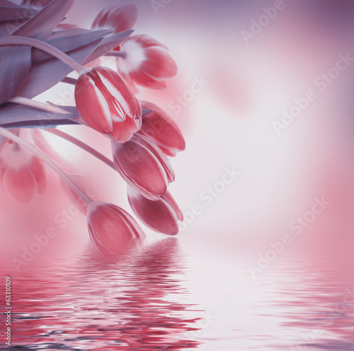 Fototapeta Naklejka Na Ścianę i Meble -  Red tulips with green grass. Floral background.