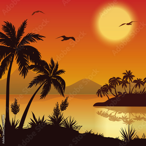 Tropical islands, palms, flowers and birds © oksanaok