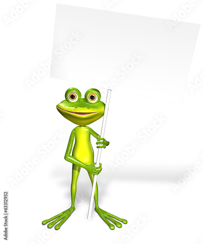 Frog and white background