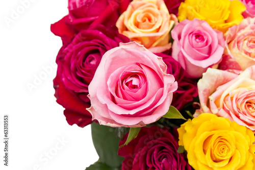 Multicolored roses