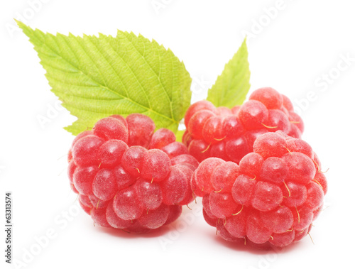 red raspberry fruits isolated