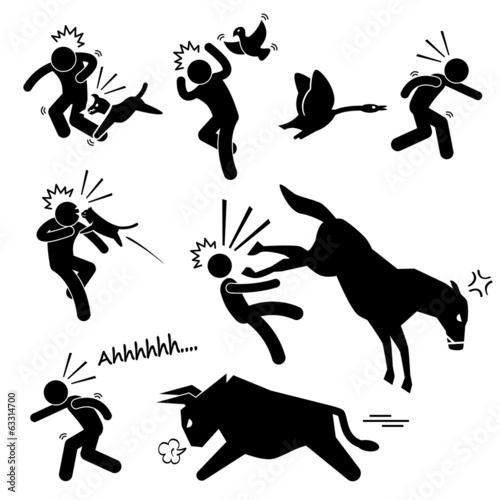 Domestic Animal Attacking Hurting Human