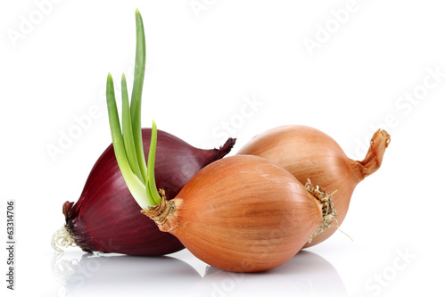 Red and White Onion