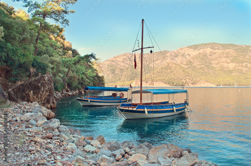 Obraz premium tourist boats