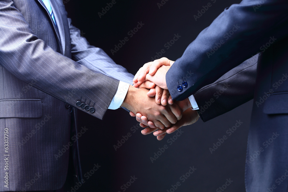 Business handshake. Great business deal.  teamwork concepts