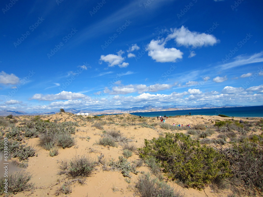 dunes and mediterranean coastal flora Alicante