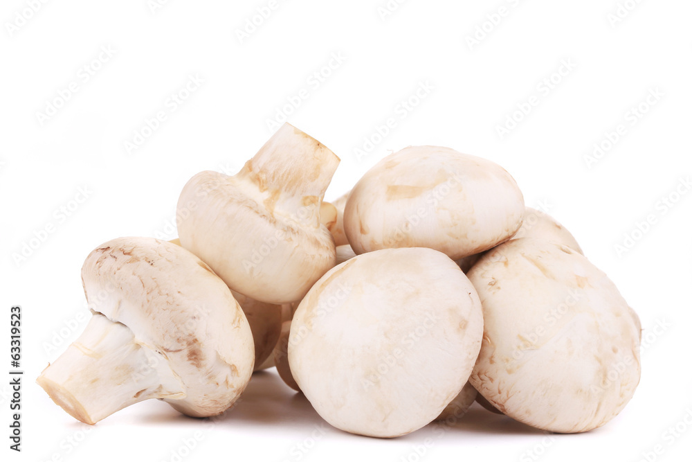 Bunch of white mushrooms close up. Bunch of white mushrooms close up.