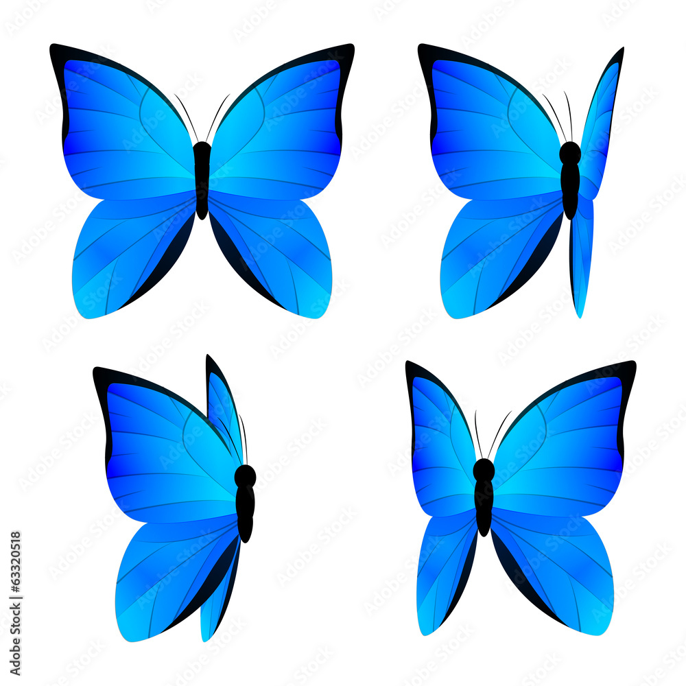 Set of blue butterflies isolated on white Set of blue butterflies isolated on white