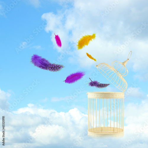 Fotografie Freedom concept. Escaping from the cage