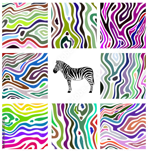 Colorful abstract illustration set of zebra pattern