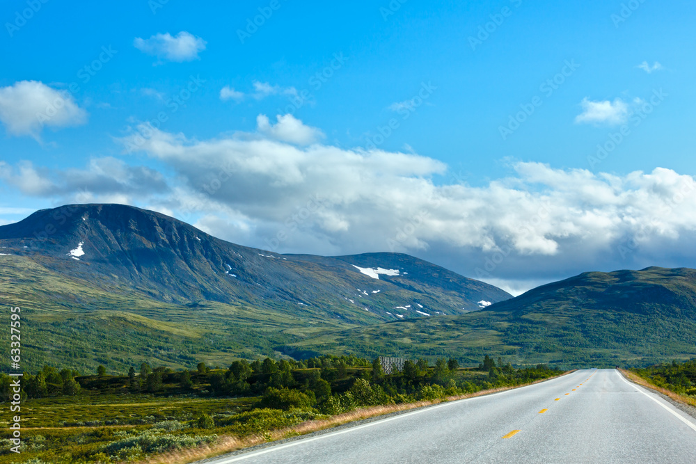 Naklejka premium Norwegian summer road (near Dombas, Norge)