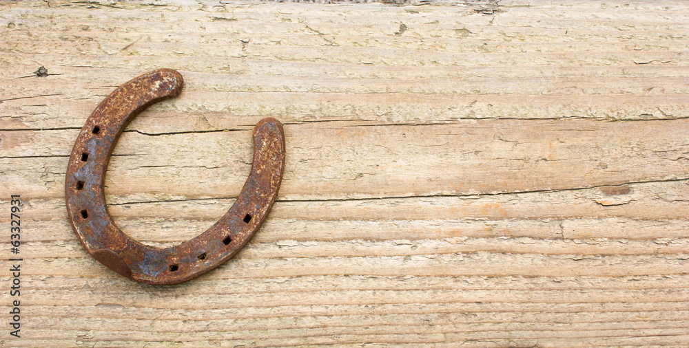 horseshoe horseshoe