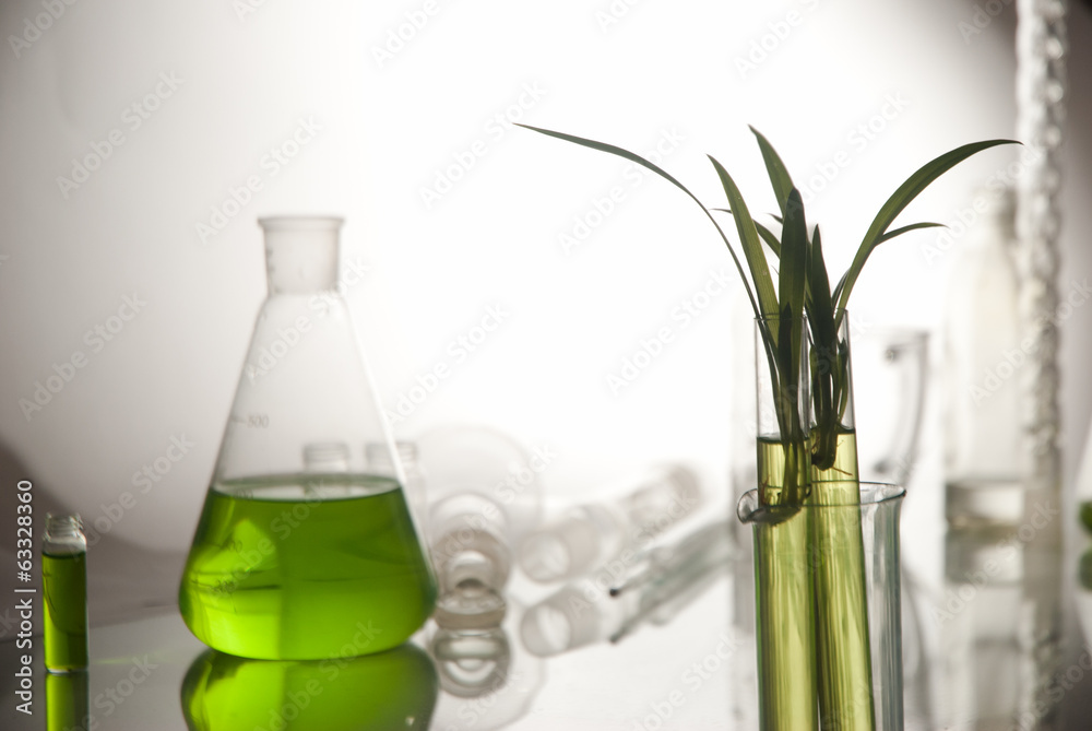 plantlet plantlet