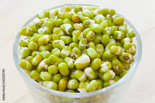 mung bean sprouts