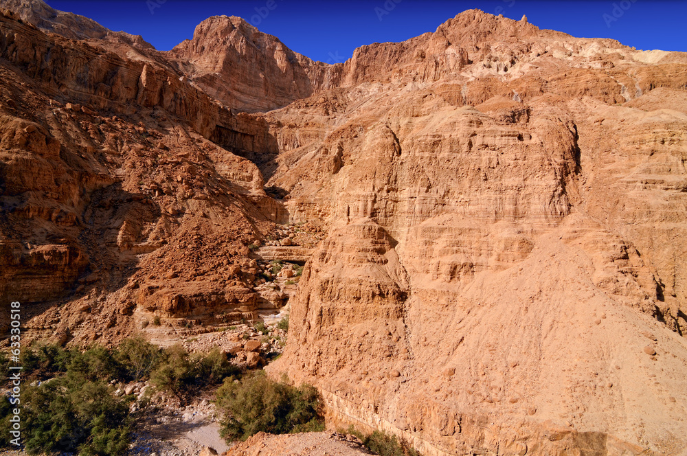 Ein Gedi