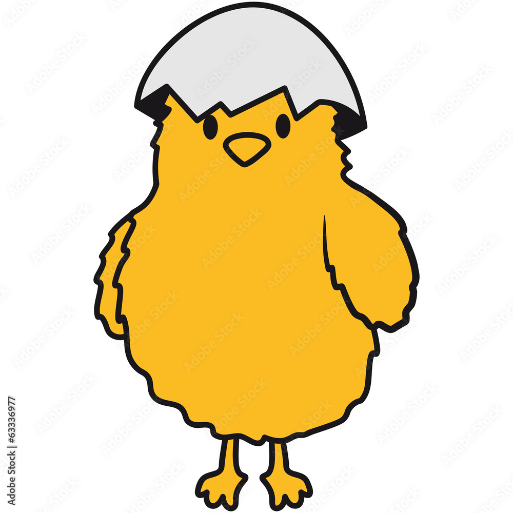Küken mit Eierschale auf dem Kopf StockIllustration Adobe Stock Küken mit Eierschale auf dem Kopf StockIllustration Adobe Stock