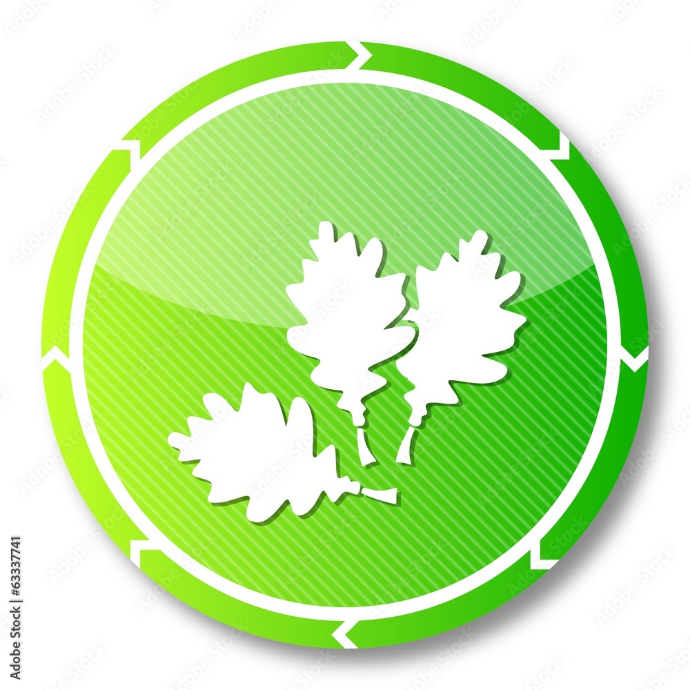 sustainable oak leaves icon sustainable oak leaves icon