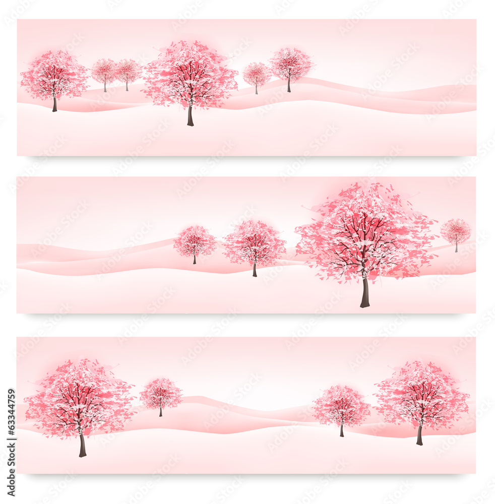 Three spring banners with blossoming sakura trees. Vector. Three spring banners with blossoming sakura trees. Vector.