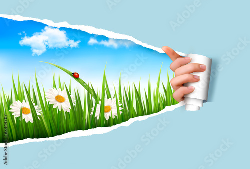 Fototapeta Naklejka Na Ścianę i Meble -  Spring background with flowers, grass and a ladybug. Vector.