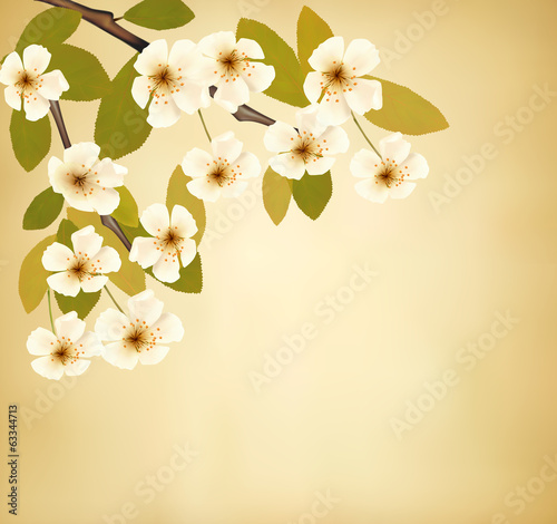 Vintage background with blossoming tree brunch and white flowers