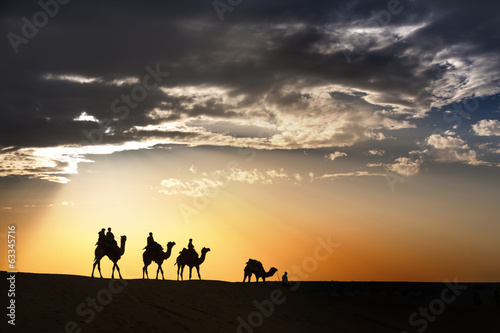 desert local walks with camel through Thar Desert