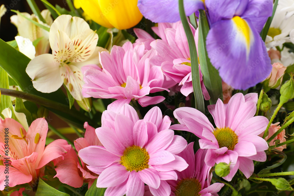 Beautiful flowers close up Beautiful flowers close up