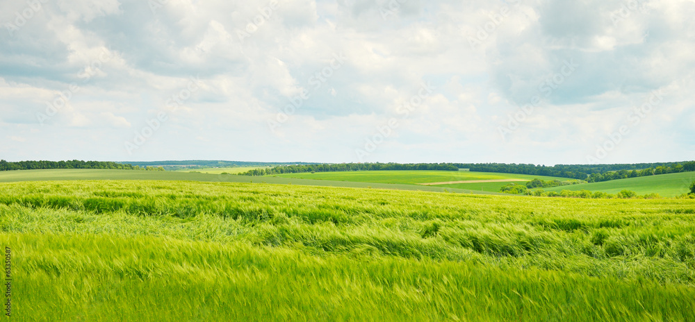 Obraz premium fields and clouds