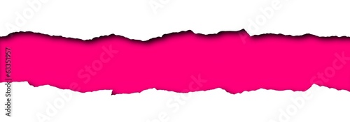 Torn paper with pink space for text isolated