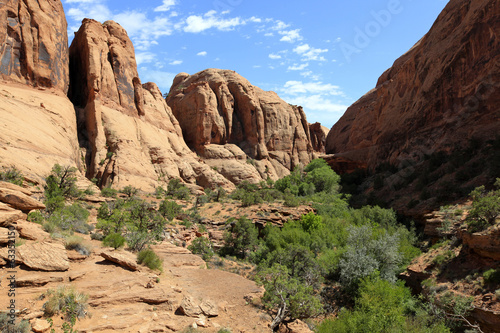 negro Bill Trail Head, Moab © fannyes