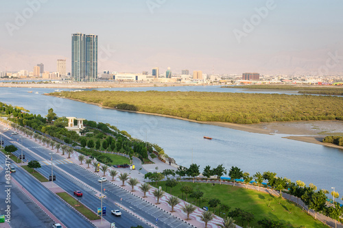 Mangroves in Ras Al Khaimah UAE