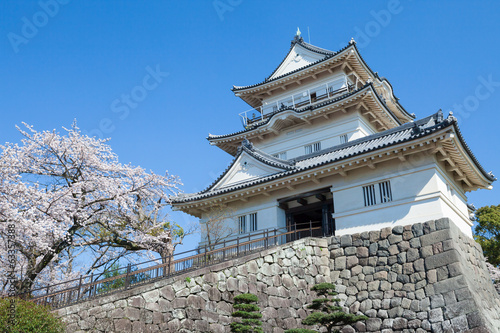 Spring Odawara castle