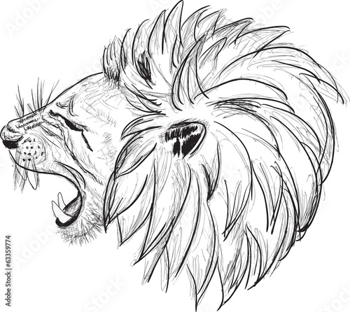 lion head sketch isolated on white