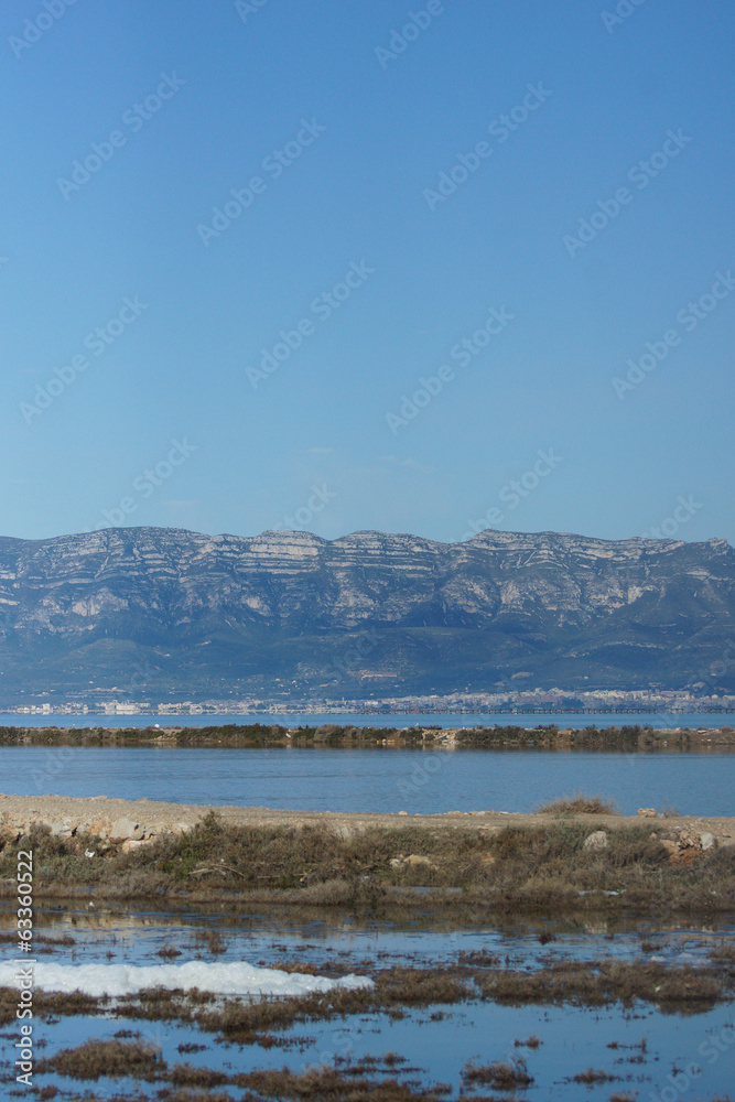 Ebro Delta Landscape