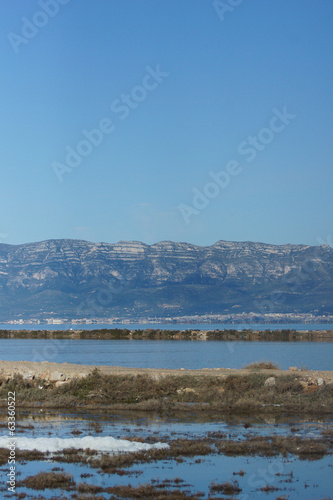 Ebro Delta Landscape © alba1988