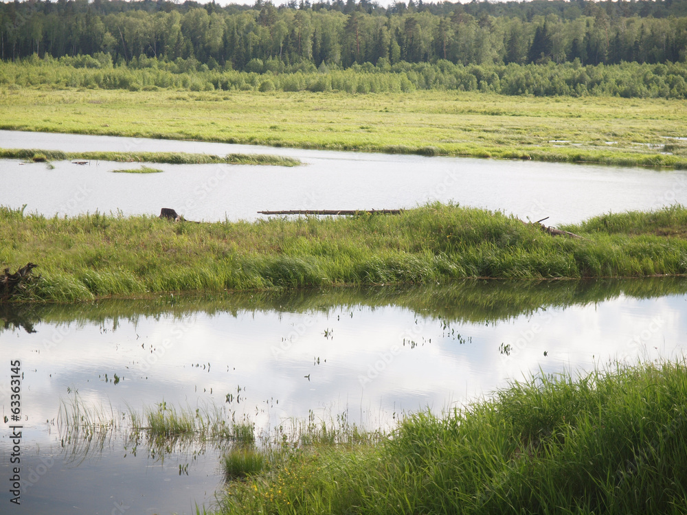 beautiful lake in Karelia