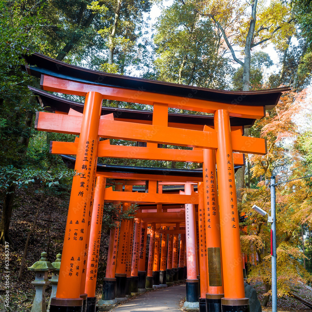 Fushimi Inari Taisha Shrine  Japan