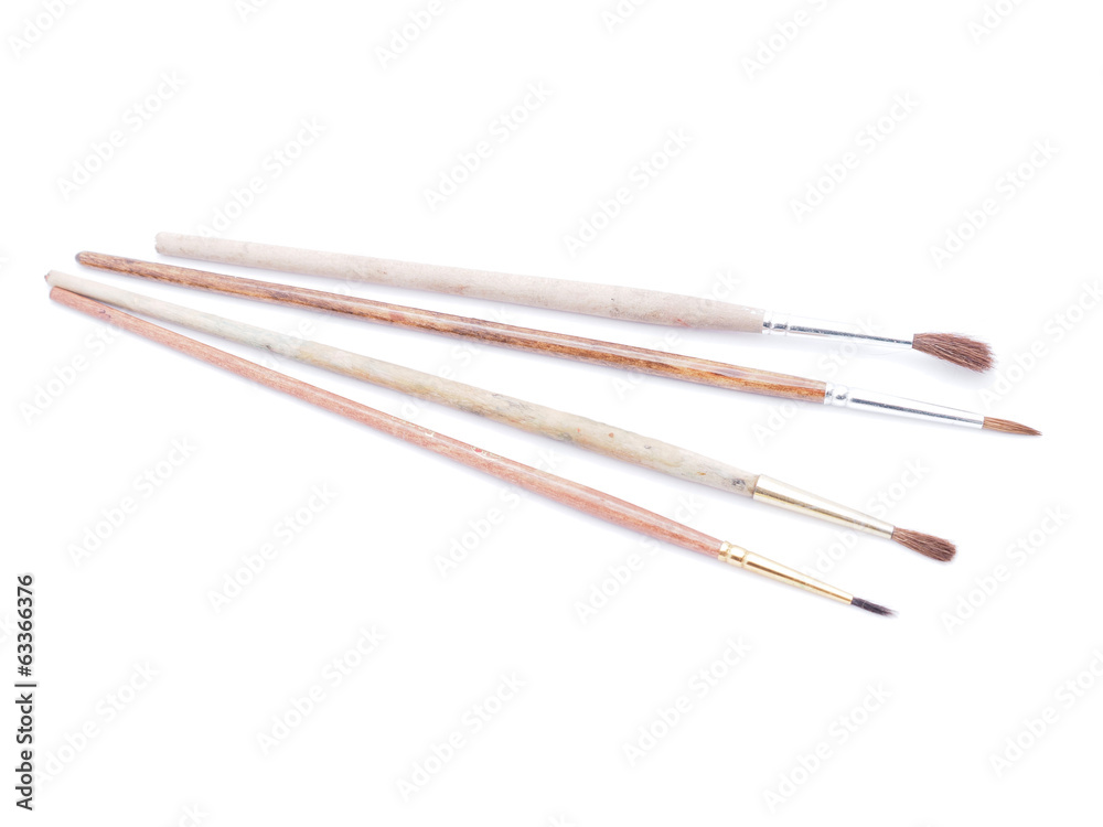 brushes for painting on a white background