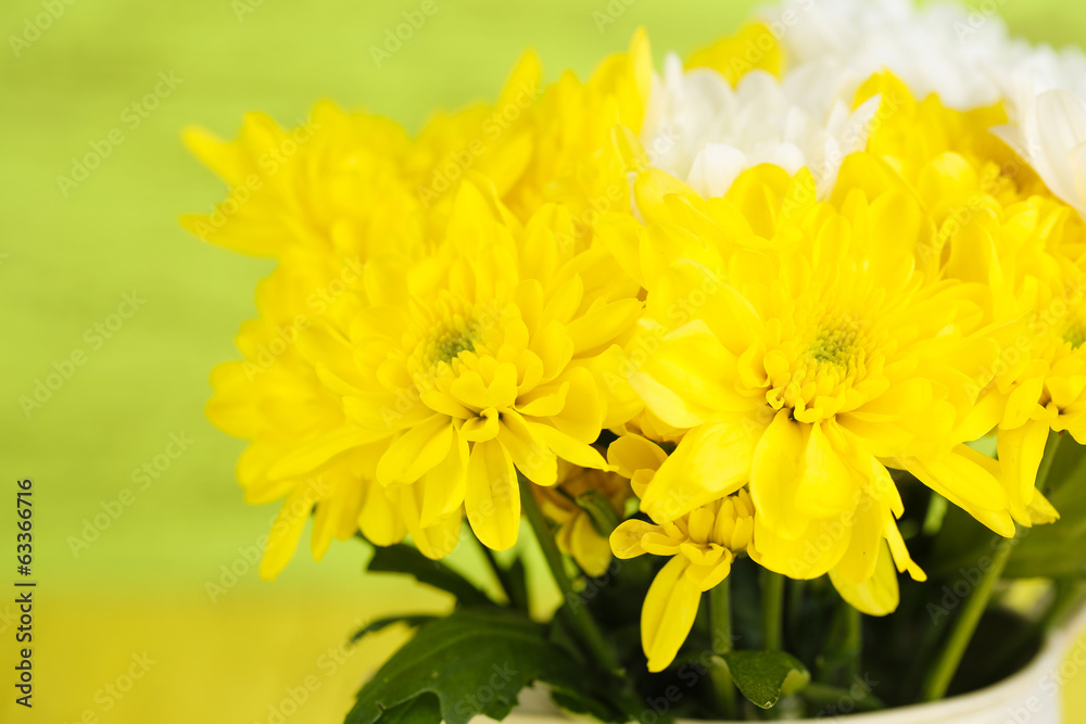 Beautiful chrysanthemum flowers on wooden background Beautiful chrysanthemum flowers on wooden background