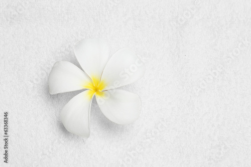 flower on cleaning towel texture color white