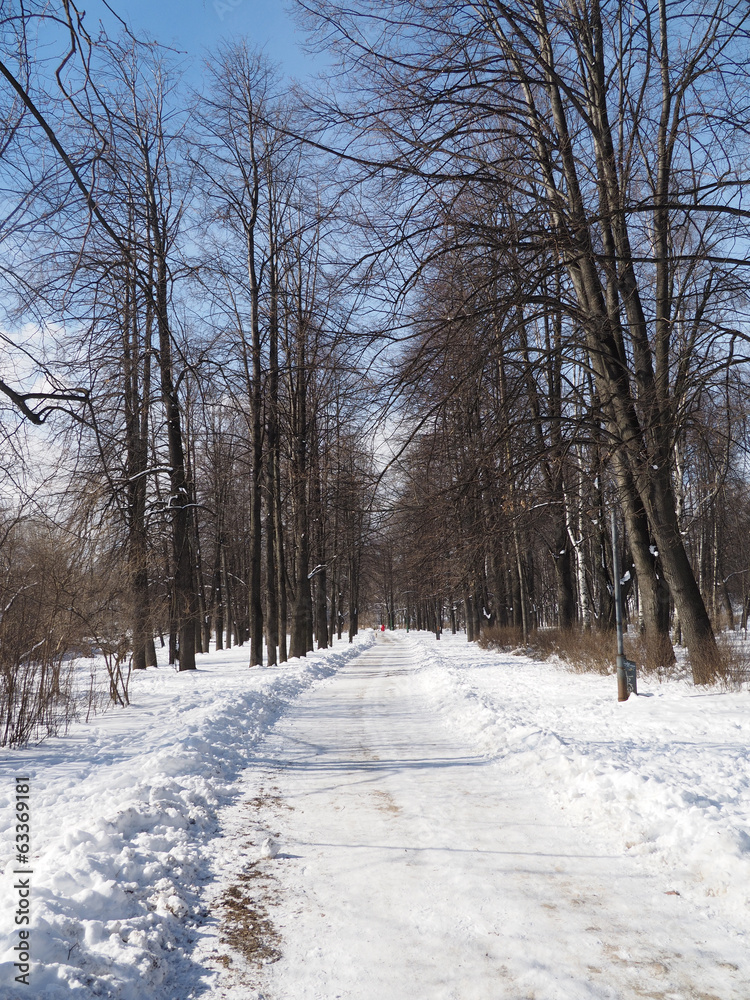Naklejka premium winter park
