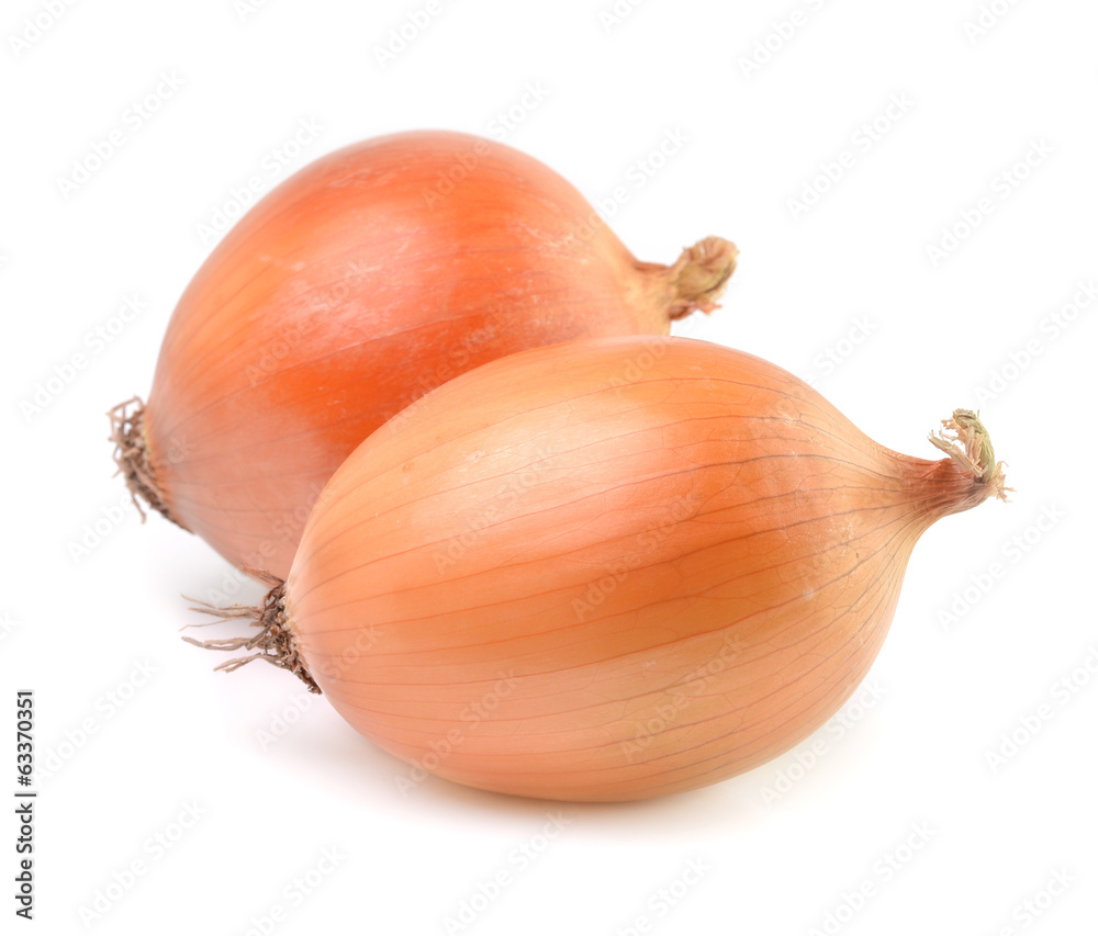 Fototapeta premium Onion isolate on white background