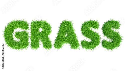green grass text