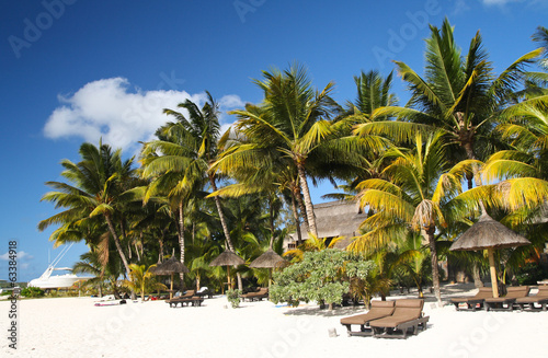 Tropical beach with white sand  palm trees and sun umbrellas