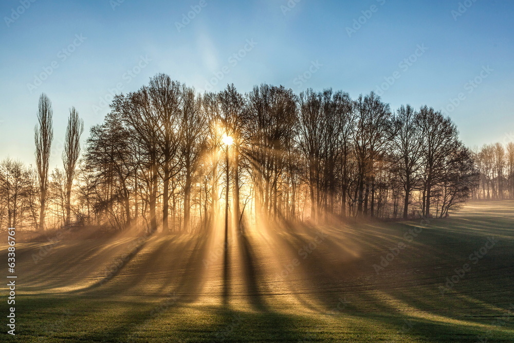 Fototapeta premium Sonnenstrahlen im Nebel