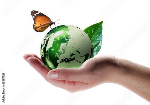 eco-friendly concept - butterfly on planet in hand #63387921