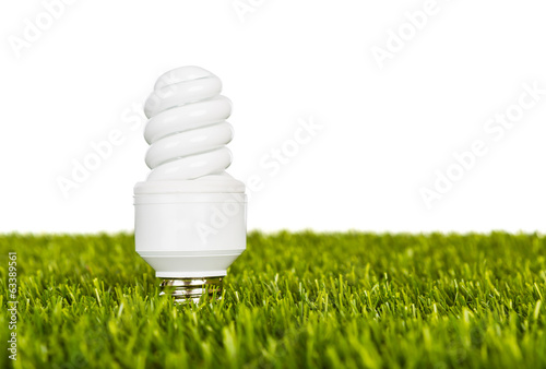 Energy saving lamp in green grass