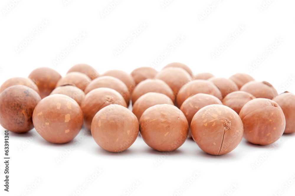 macadamia nuts on white background macadamia nuts on white background