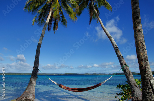 Colorful hammock between palm trees, Ofu island, Vavau group, To photo