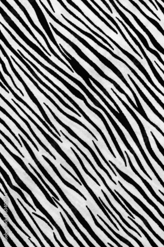 Zebra print cloth