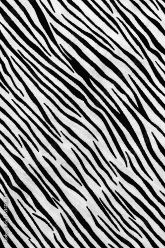 Zebra print cloth